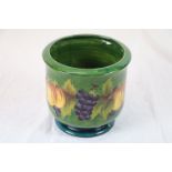 Moorcroft Fruit and Vine pattern limited edition jardiniere, green ground with apple and grape