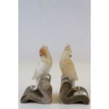 Pair of Alabaster Parakeet bookends