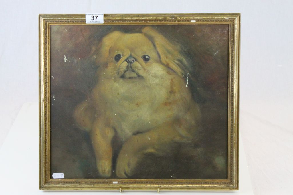 An early 20th century oil painting of a Pekingese dog.