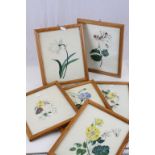 Six framed and glazed Botanical Watercolours and two framed 7 glazed engravings of Banbury