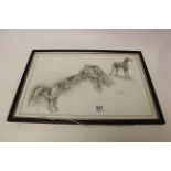 Joel Kirk Print of a Pencil Drawing of Whippets