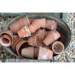 Galvanised Wash Bath filled with a large quantity of Small Clay Garden Pots