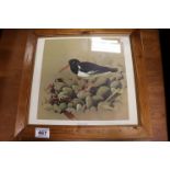 Ornithological interest JF Landowne 1962 A set of prints of waterbirds Heron, curlew and oyster