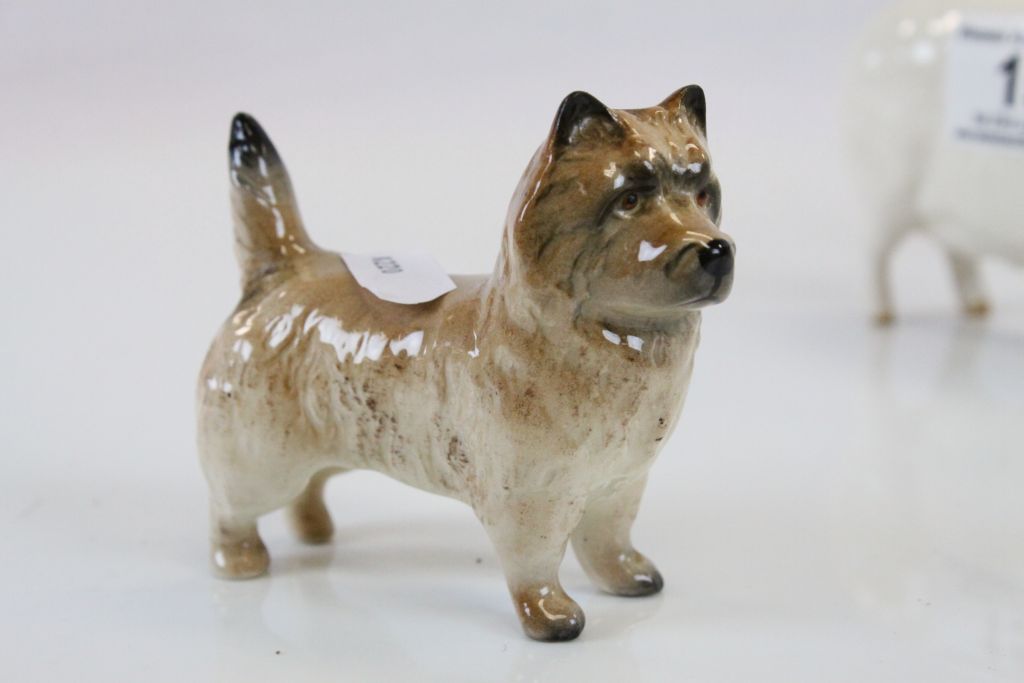 Three Beswick ceramic animals to include; Champion Wall Queen 40 Pig, Champion Cast Iron monarch Fox - Image 2 of 6