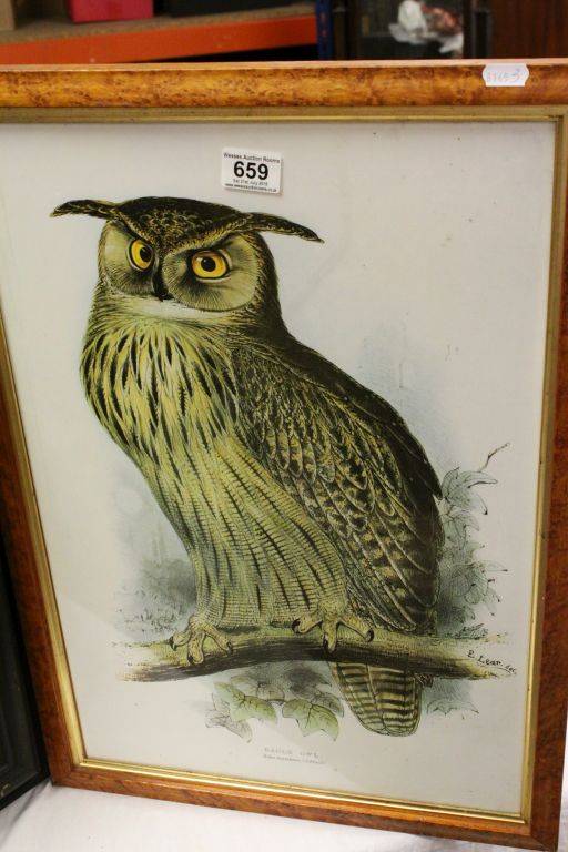 A Maple framed print of an Eagle Owl after Edward Lear together with another of Barn Owls after - Image 3 of 3
