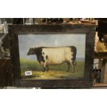 An oak framed oil painting Bovine study of a Bull in a landscape