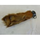 Taxidermy Otter Paw, mounted