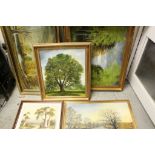 Five Framed Oil Paintings of Trees