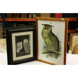 A Maple framed print of an Eagle Owl after Edward Lear together with another of Barn Owls after