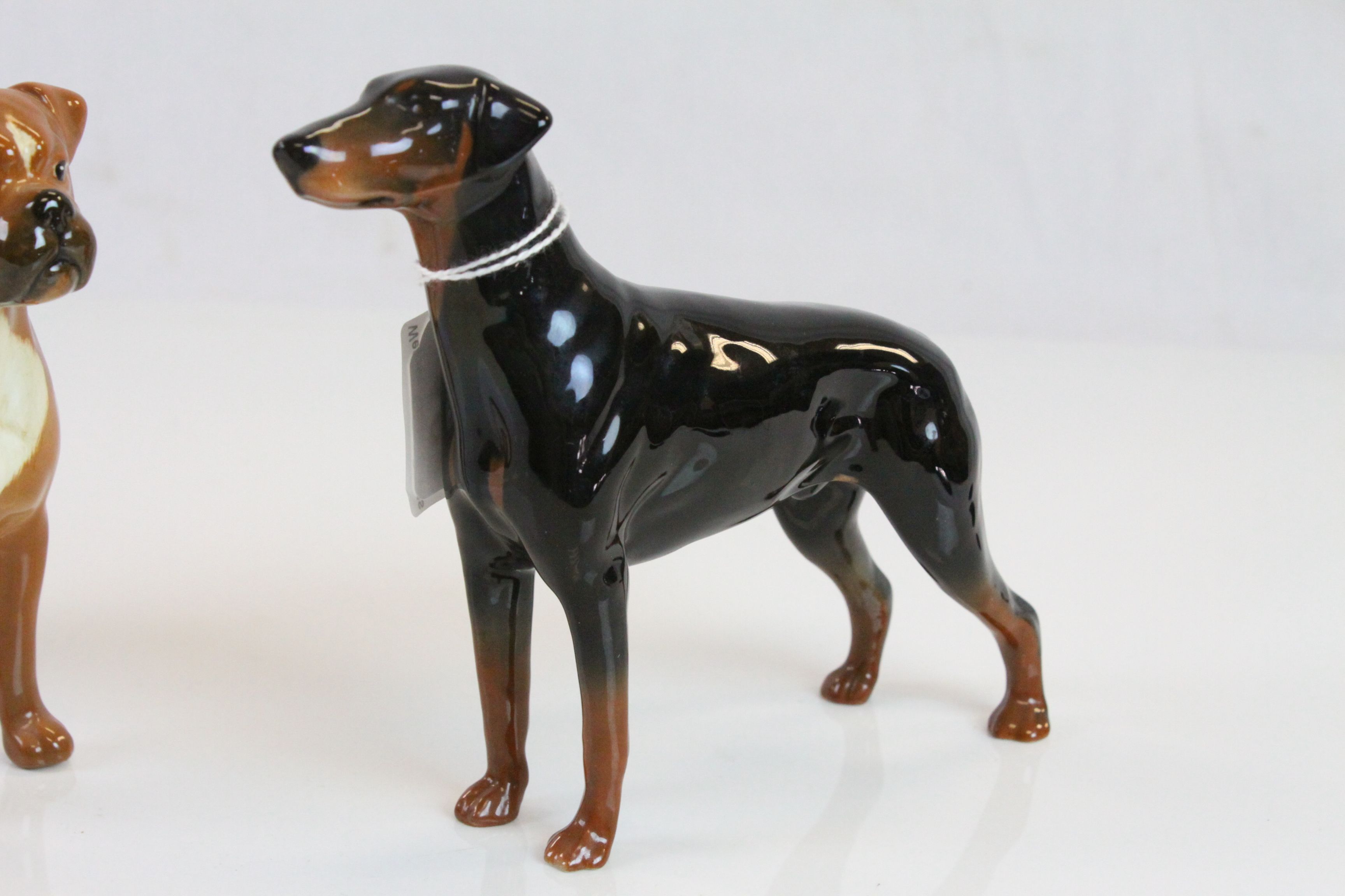 Beswick ceramic model of a Boxer dog and a Doberman - Image 2 of 5