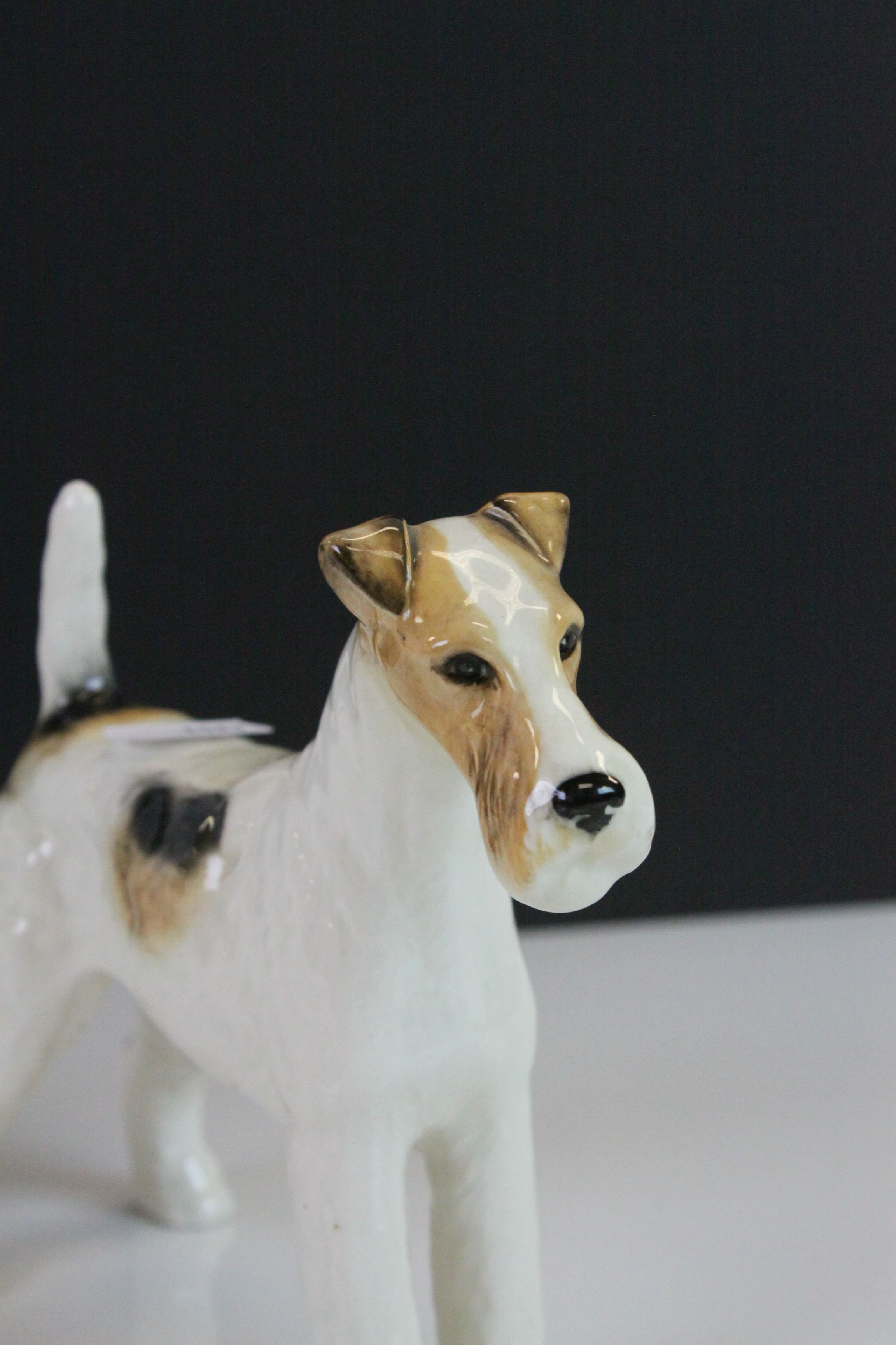 Beswick ceramic model of a Jack Russell Terrier & a Long Wire Terrier "Ch Taravera Romulus" - Image 2 of 5