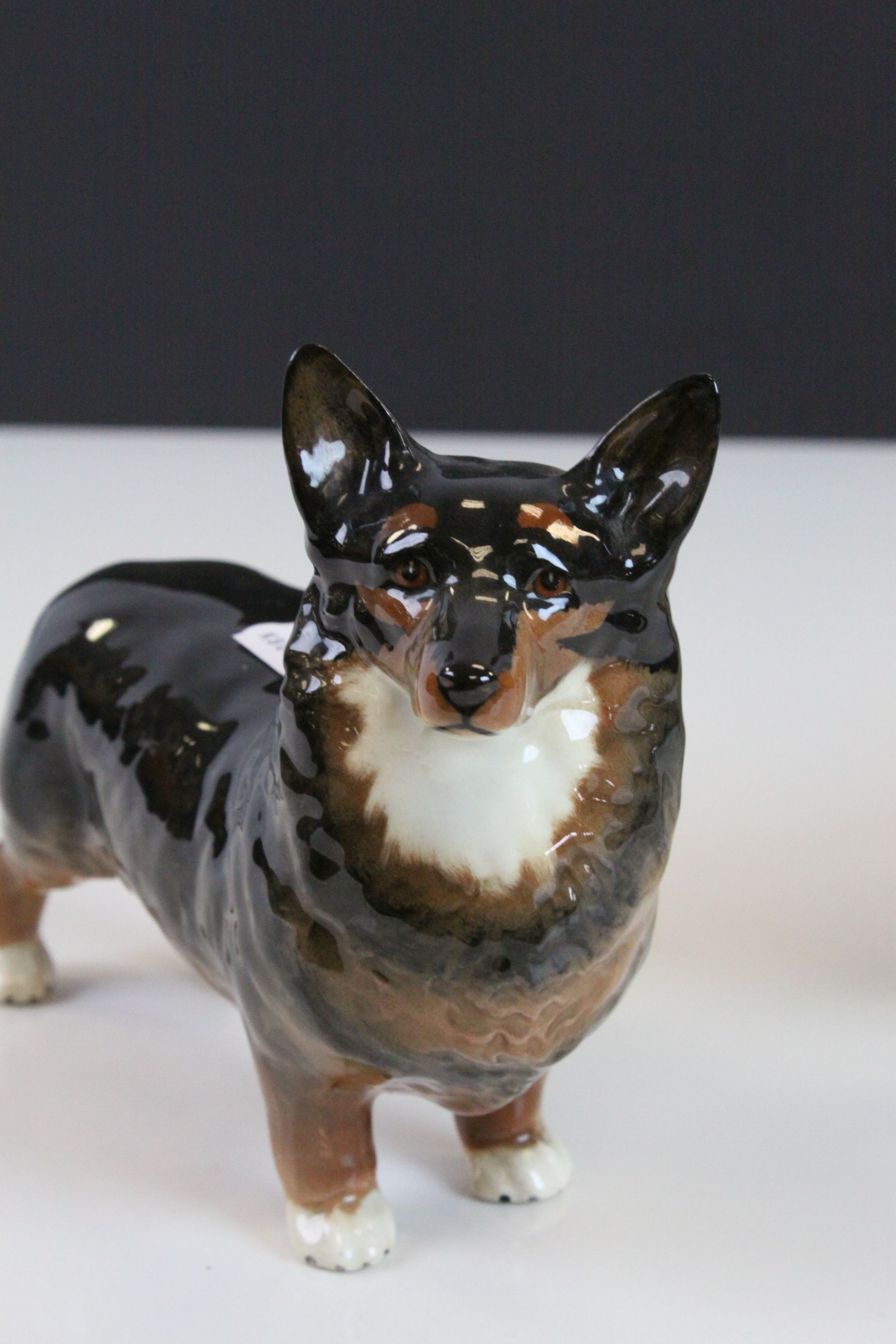 Beswick ceramic model of a Corgi "Black Prince" & a Bassett Hound - Image 2 of 5