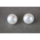 Pair of Large Cultured Pearl Stud Earrings on Silver Posts