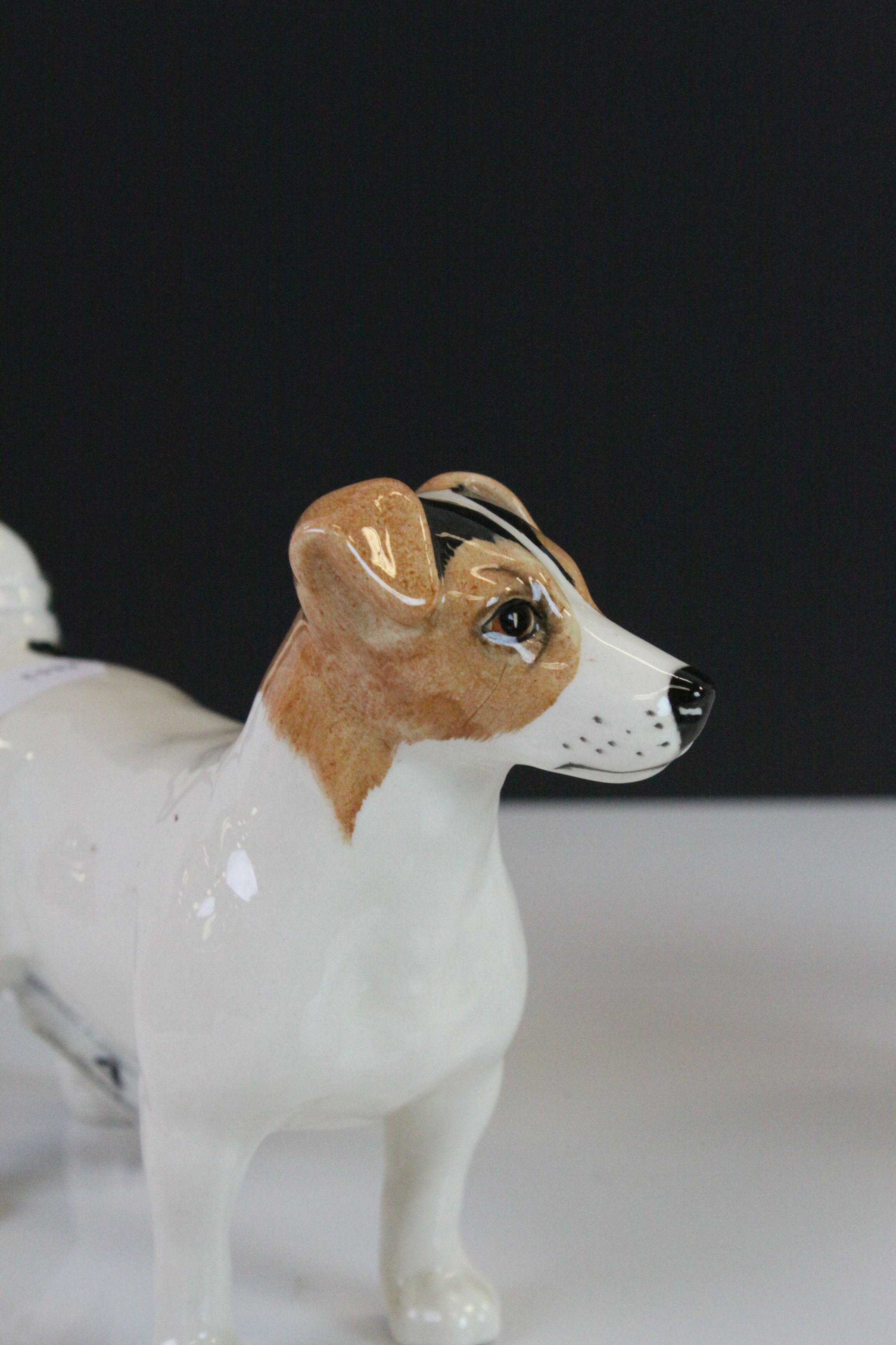 Beswick ceramic model of a Jack Russell Terrier & a Long Wire Terrier "Ch Taravera Romulus" - Image 3 of 5