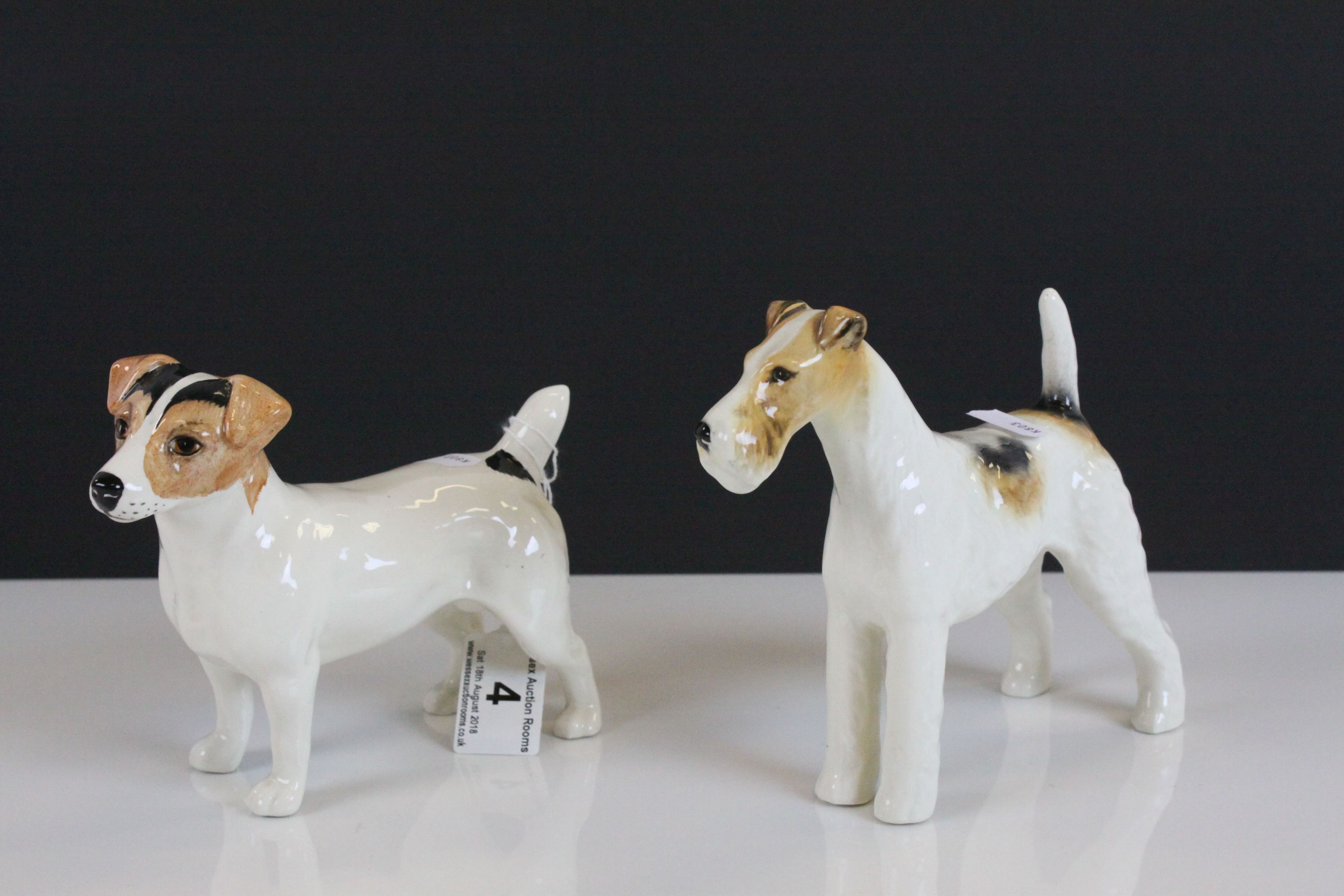 Beswick ceramic model of a Jack Russell Terrier & a Long Wire Terrier "Ch Taravera Romulus"