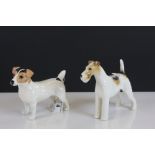 Beswick ceramic model of a Jack Russell Terrier & a Long Wire Terrier "Ch Taravera Romulus"