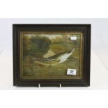 Framed & glazed Oil on board of a Trout