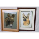 Two Framed and Glazed Pastel Pictures of a Donkey and Alsatian Dog