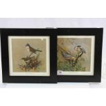 J F Lansdowne 1962 Pair of Ornithological Prints of Woodpecker, Nuthatch, Warbler and Whitethroat