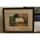 Oil Painting Study of a Pig in a Farmyard in Oak Frame