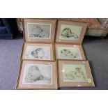 EW Huggins set of six limited edition lion prints framed .