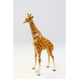 Beswick ceramic model of giraffe 32cm approx height