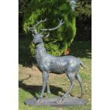 Large Cast Metal Garden Statue of a Standing Stag, 142cms high