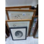 Collection of framed & glazed Engravings and Pencil sketches of a Nude female