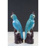 Pair of Oriental glazed ceramic Parrots with impressed marks to base
