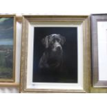 John Lewis Fitzgerald, Oil on Panel Study of a Black Labrador Dog, 50cms x 39cms, framed