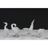 Four Lladro ceramic Geese in various poses