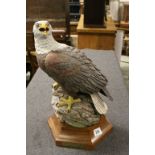 Large Aynsley ' The Bald Eagle ', limited edition of 750, modelled by Fred Wright, with