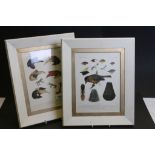 Pair of 19th century Chromolithograph Studies of Birds of the New World