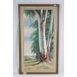 Large framed South African Oil on board of Countryside and signed C S Ballankyne