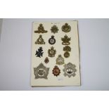 A Collection Of Approx 14 Canadian Military Cap Badges Of Various Regiments To Include The