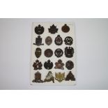 A Collection Of Approx 19 x Canadian Military Bronzed Cap Badges Of The Canadian Officer Training