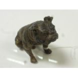 Bronze figurine realistically modelled as a British Bulldog sat on hind legs, height approximately