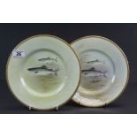 Two hand painted Royal Doulton ceramic Fish plates by C Holloway, one marked "Loch Leven Trout