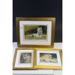 Wildlife Interest Three Signed Limited Edition Prints of Lions and Tigers, all signed and numbered