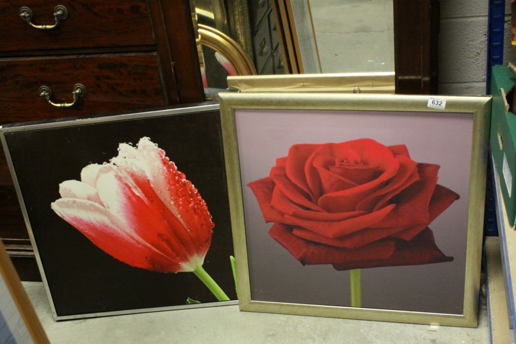 Pair of Botanical Studies on Canvas of a Red Rose and a Tulip