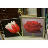 Pair of Botanical Studies on Canvas of a Red Rose and a Tulip