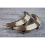 Pair of Edwardian boar tusk silver mounted knife rests, plain mount tusks raised on three ball feet,