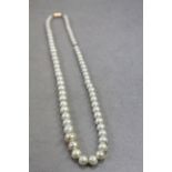 Simulated Pearl necklace with 9ct Gold clasp