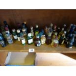 A Shelf containing a large amount of collectable miniature alcohol bottle, various drinks 1950's-