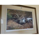 Gilt f/g Limited edition print, Badgers no:220 of 850 by Adrian C Rigby, and 1 other similar print