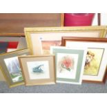 5 x assorted framed prints including a David ShepherdLion un-signed and a William Russell flint