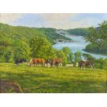 John STADDON (British b. 1946) 'Greenway' - cattle grazing in a field above the river Dart , Oil