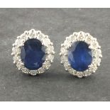A pair of sapphire and diamond ear studs, the pair of oval stones within a band of diamonds, set