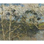 Richard HOARE (British b.1967) 'St Just in Roseland, Evening Light', Oil on linen, Signed verso, 24"