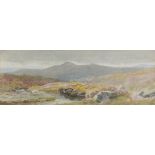 19th Century British School, Moorland Landscape, Watercolour, Signed with monogramme lower right, 5"